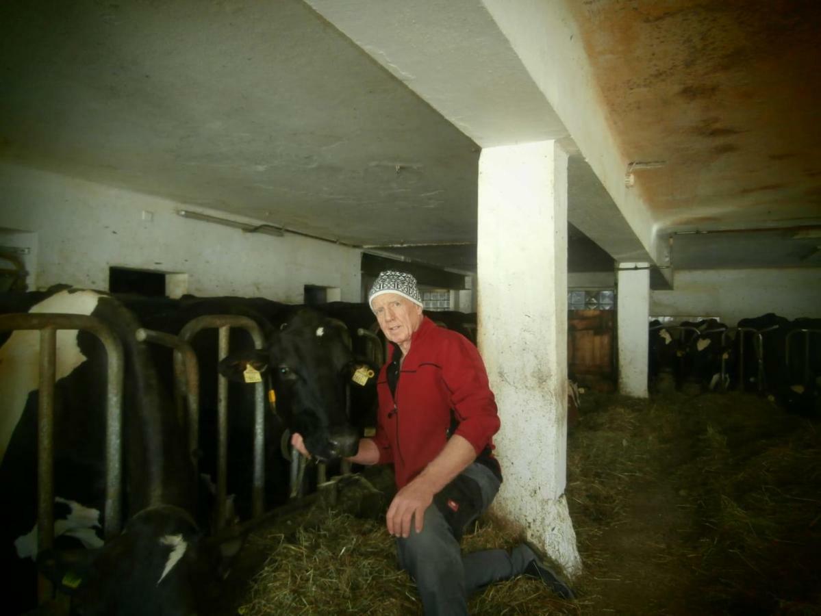 Appartement Schneiderhof Seefeld in Tirol Buitenkant foto